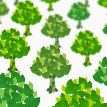 白緑木の iPhone7 壁紙