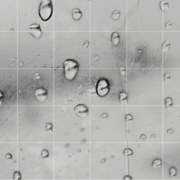 水滴窓モノクロ罫線棚の iPhone7 壁紙