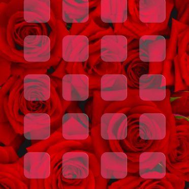 バラ赤棚の iPhone7 壁紙