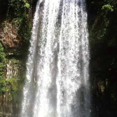 風景滝自然森木の iPhone7 壁紙