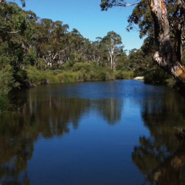 風景湖自然森木の iPhone7 壁紙