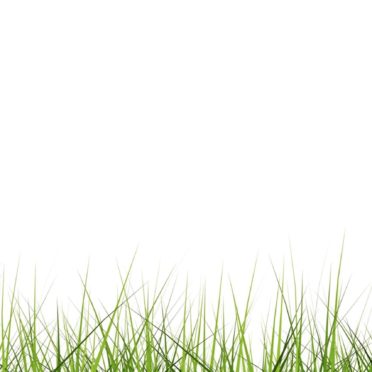クール芝生緑の iPhone7 壁紙