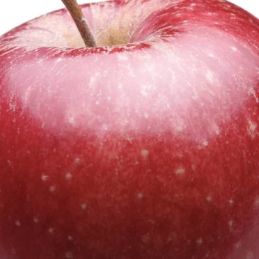 フードリンゴ赤の iPhone7 壁紙