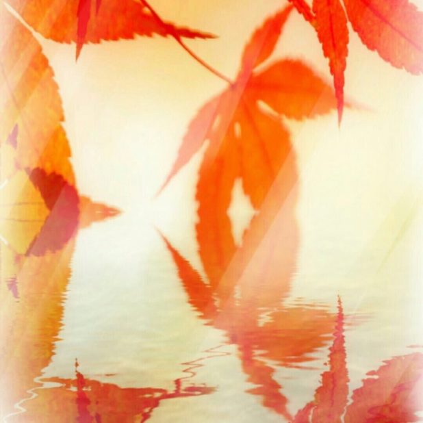紅葉　水面　壁紙の iPhone7 Plus 壁紙