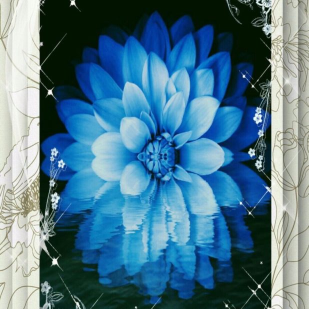 花　青　壁紙の iPhone7 Plus 壁紙