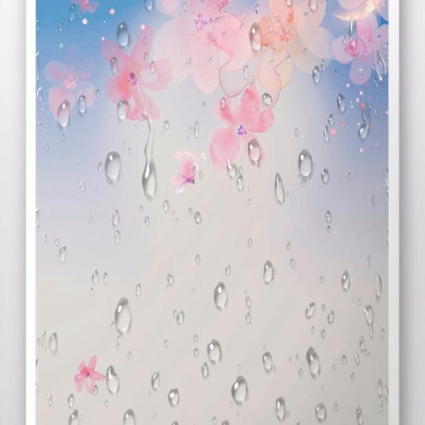 桜　雨　壁紙の iPhone7 Plus 壁紙