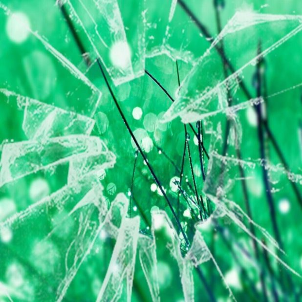 ガラス　緑　壁紙の iPhone7 Plus 壁紙