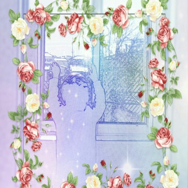 窓辺　バラ　壁紙の iPhone7 Plus 壁紙