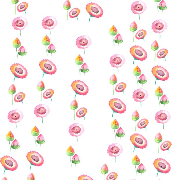 花　ピンク　壁紙の iPhone7 Plus 壁紙
