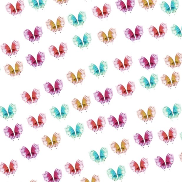 蝶　カラフル　壁紙の iPhone7 Plus 壁紙