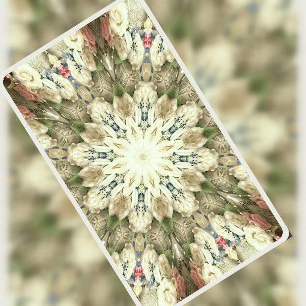 花　カード　壁紙の iPhone7 Plus 壁紙