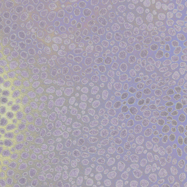 模様紫の iPhone7 Plus 壁紙