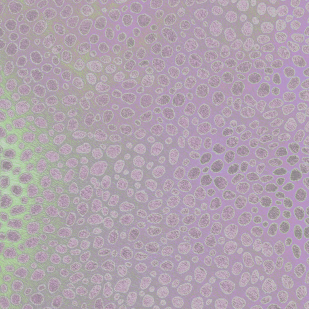 模様紫の iPhone7 Plus 壁紙