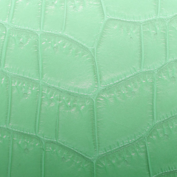 葉脈グラデーション緑の iPhone7 Plus 壁紙