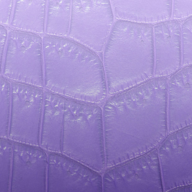葉脈グラデーション紫の iPhone7 Plus 壁紙
