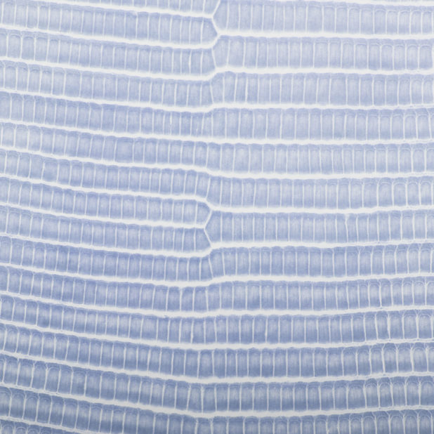 葉脈グラデーション青の iPhone7 Plus 壁紙