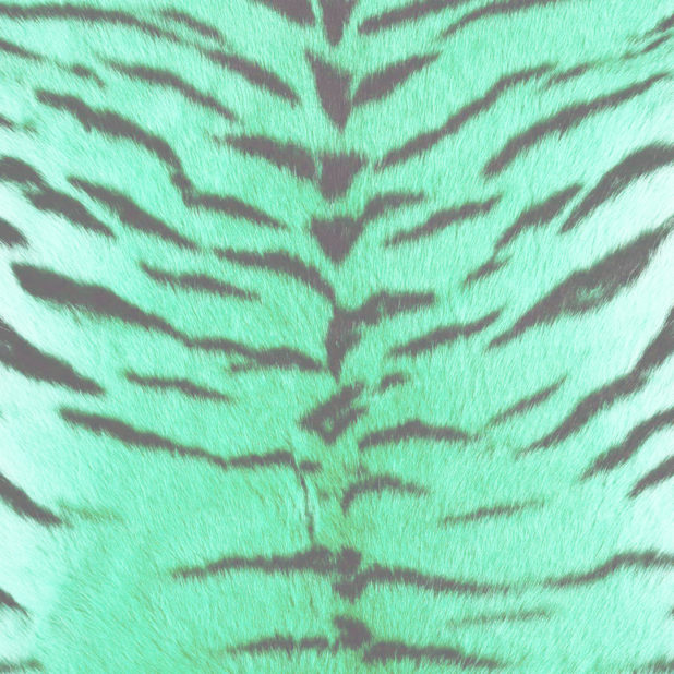 毛皮模様トラ青緑の iPhone7 Plus 壁紙