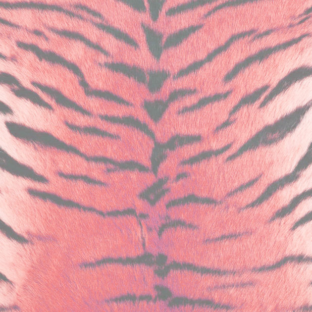 毛皮模様トラ赤の iPhone7 Plus 壁紙
