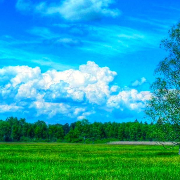 風景自然緑青の iPhone7 Plus 壁紙
