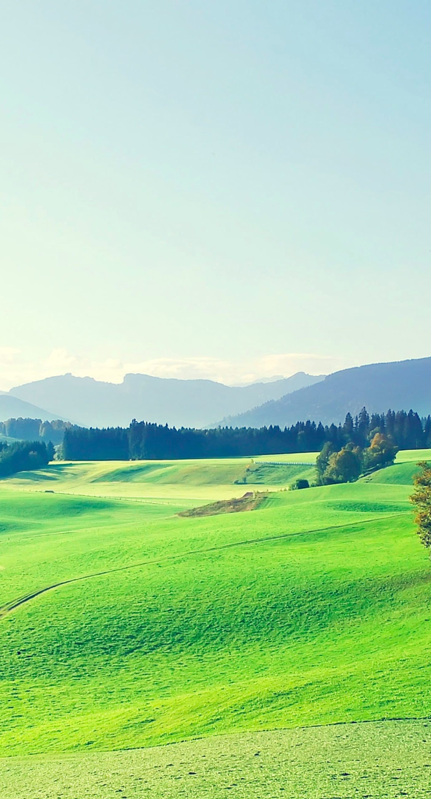 風景草原 Wallpaper Sc Iphone7plus壁紙