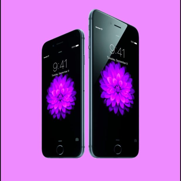 紫iPhone6iPhone6PlusAppleの iPhone7 Plus 壁紙