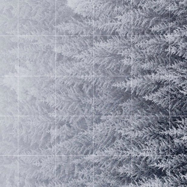 森罫線雪白棚の iPhone7 Plus 壁紙