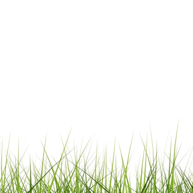 クール芝生緑の iPhone7 Plus 壁紙