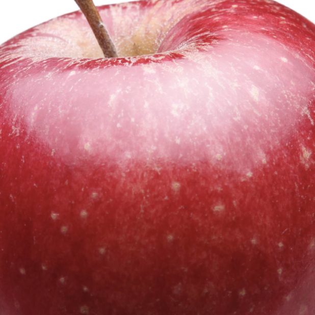 フードリンゴ赤の iPhone7 Plus 壁紙