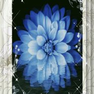 花 青の iPhone8 壁紙