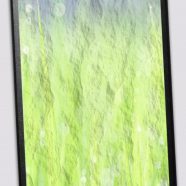 バインダー 草の iPhone8 壁紙