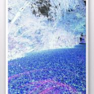 森 ブルーの iPhone8 壁紙