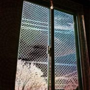 窓辺 桜の iPhone8 壁紙