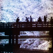 夜桜 夜景の iPhone8 壁紙