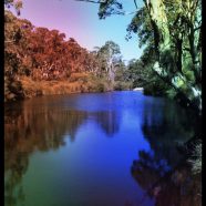 川 自然の iPhone8 壁紙
