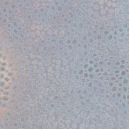 模様青の iPhone8 壁紙