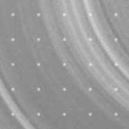 ドット模様グラデーション灰の iPhone8 壁紙