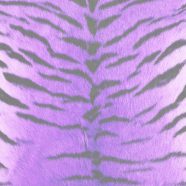 毛皮模様トラ紫の iPhone8 壁紙
