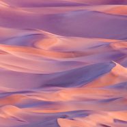 風景砂漠の iPhone8 壁紙
