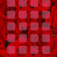 バラ赤棚の iPhone8 壁紙