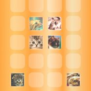 棚猫橙の iPhone8 壁紙