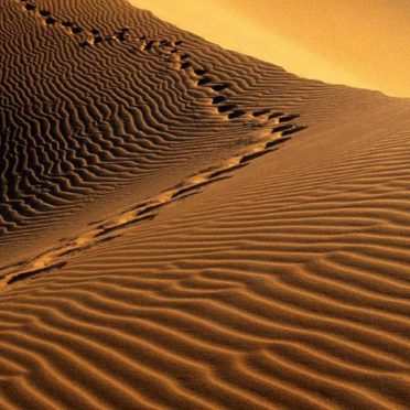 風景砂漠の iPhone8 壁紙