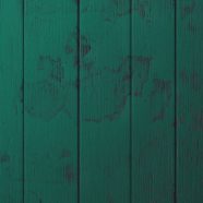 板木緑の iPhone8 壁紙