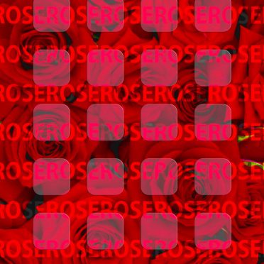 バラ赤棚ローズ3の iPhone8 壁紙