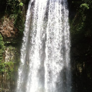 風景滝自然森木の iPhone8 壁紙