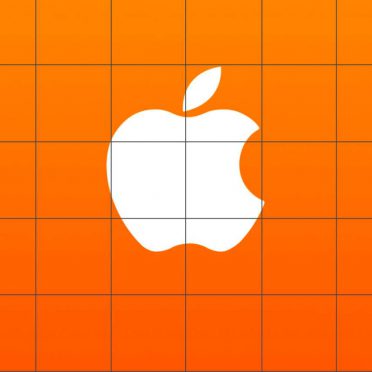 棚apple橙クールの iPhone8 壁紙