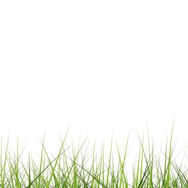 クール芝生緑の iPhone8 壁紙