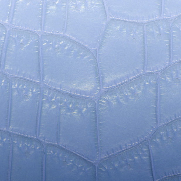 葉脈グラデーション青の iPhone8Plus 壁紙