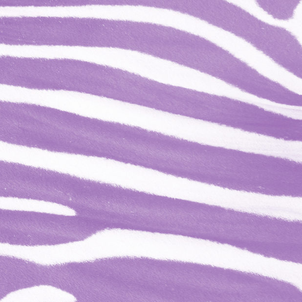 ゼブラ模様紫の iPhone8Plus 壁紙