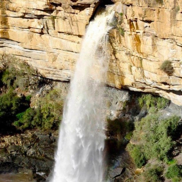 風景滝の iPhone8Plus 壁紙