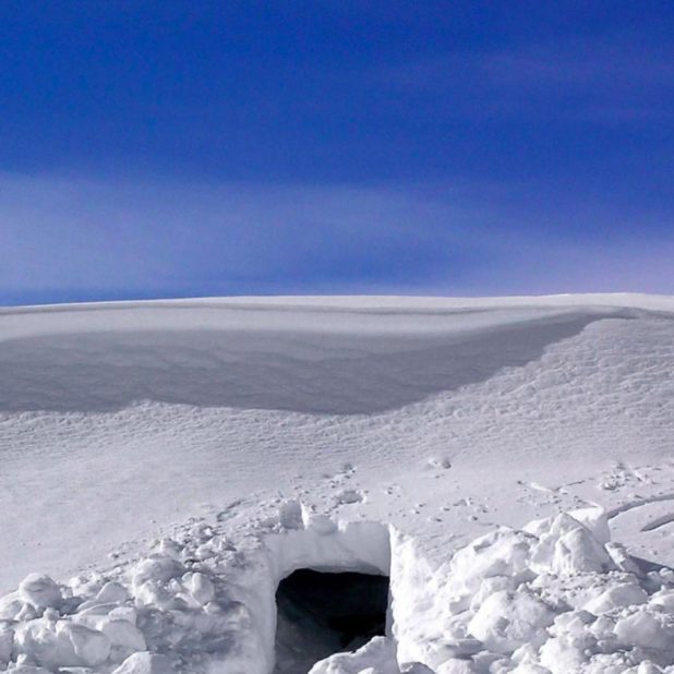 風景雪の iPhone8Plus 壁紙